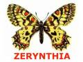 outils:qgis:logo_zerynthia.jpg